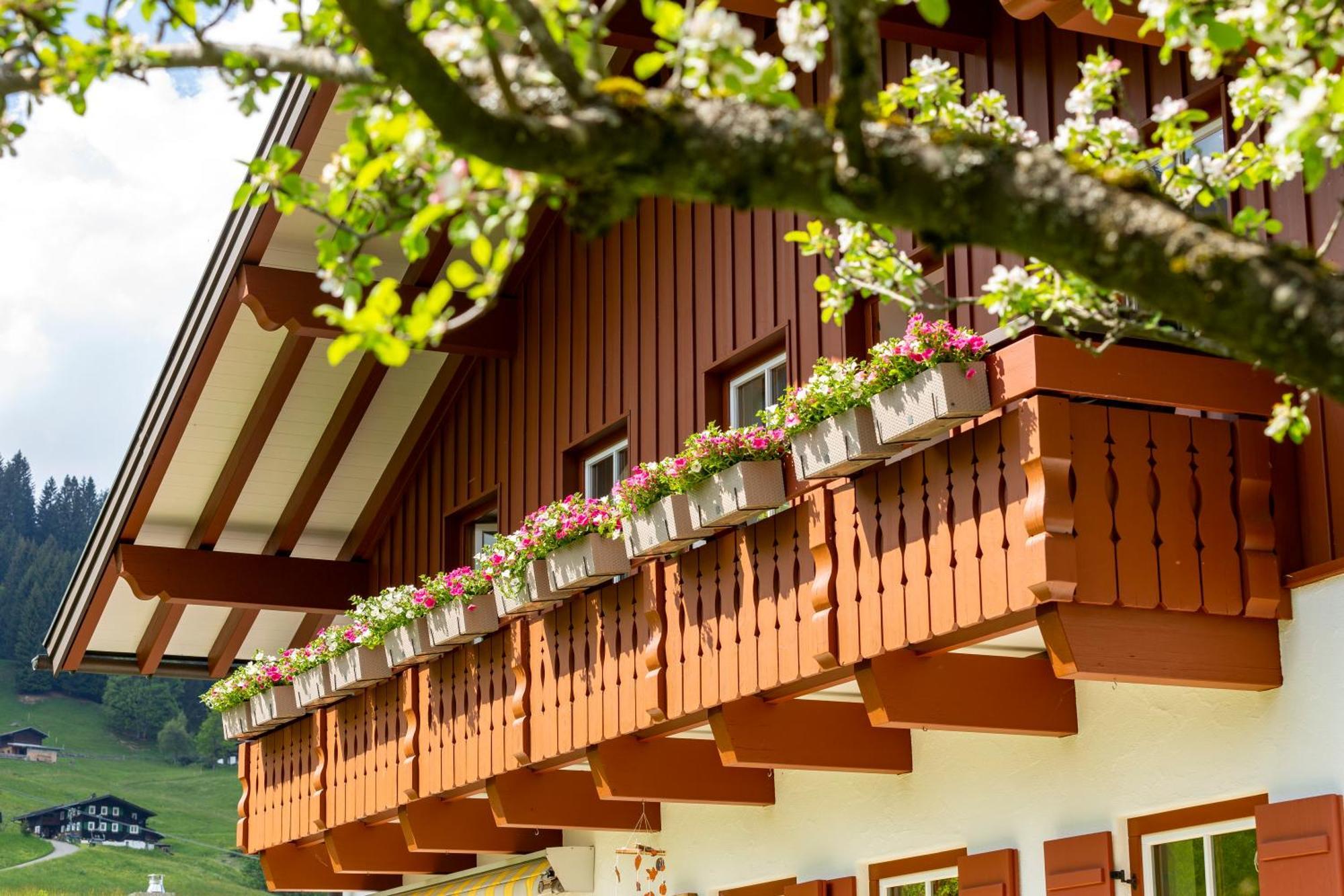 Apartamento Haus Berg & Tal Hirschegg  Exterior foto